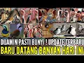Download Lagu 🔴 UPDATE TERBARU ! DIJAMIN PASTI BUNYI  BARU DATANG BANYAK HARI INI 0838-7553-6945