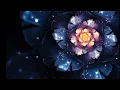 盧巧音 -《落地開花》