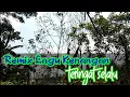 Download Lagu Remix Lagu Kenangan - Teringat Selalu