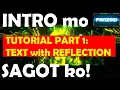 PANZOID TUTORIAL P1 TEXT with REFLECTION