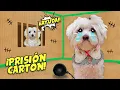 Lagu CASTIGO A MIS PERROS EN UNA PRISION DE CARTON DURANTE 24 HORAS EN LA VIDA REAL!!
