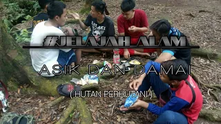 Download JELAJAH HUTAN PERHUTANI | HUTAN DAMAR #CampGroundPerhutani MP3