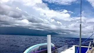 A BITTERSWEET GULF STREAM CROSSING
