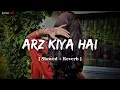 Lagu Arz Kiya Hai - Mashup Lofi | Nonstop Mashup [ Slowed + Reverb ] | Anuv Jain | Lo-Fi Song Nayan Lofi