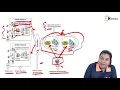 Mobile Cloud Computing Definition and Architecture - Cloud Computing and Services