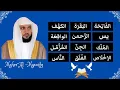Download Lagu Fatiha + Baqarah + Kahf + Yaseen + Rahman + Waqiah + Mulk + Jinn + Muzzammil + Ikhlas + Falaq + Nas