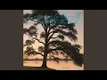 Download Lagu Longing to be with you, and by the oak tree