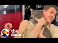 Lagu Firefighters Rescue Kitten At Fire Station | The Dodo