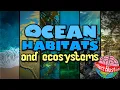 Ocean Habitats Ecosystems
