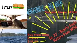 Outstanding Natural Scenery while Sailing Northern Canada (Ep.37 Sailing w/the Litzenbergers)