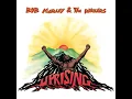 Could You Be Loved (Errol Brown and Alex Sadkin Remix / Bonus Track) - Bob Marley