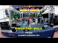 Lagu RINDU TAPI MALU - NEW PALLAPA - PPDN - NGEMBES GEMBONG PATI