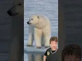 Download Lagu The Polar Bear is absolutely TERRIFYING