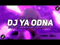 Lagu DJ YA ODNA PLAT KT MENGKANE VIRAL TIKTOK