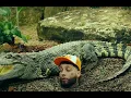 JC REYES - DESEO FT SKY ROMPIENDO(VIDEO LYRIC/LETRA)