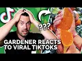 Download Lagu Gardener Reacts to Mind-Blowing Gardening TikToks 🤯