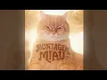 Montagem Miau (1 Hour) - 𝑷𝑬𝑹𝑭𝑬𝑪𝑻 𝑳𝑶𝑶𝑷