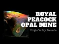 A Brief History of the Royal Peacock Opal Mine
