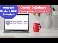 Mule 4 ESB Mulesoft Dynamic Call to Database Module Passing Input Parameters at Run time