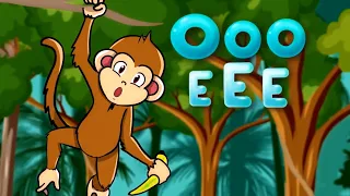 Learn ALL About Your FAVORITE Animals! | KLT Wild