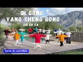 Qi Gong Yang Sheng Gong Shi Er Fa - Forme complète (Stage de Qi Gong Corse 2024).