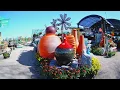 Tucson s Amazing Cactus Farms Nurseries - Arizona