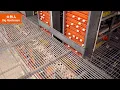 Big Herdsman High-Efficiency Egg Collection System 65 000 Eggs Per Hour