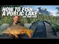 Lagu How to Fish a Public Lake | Samir Arebi’s Guide to European Carp Fishing Adventures