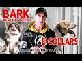 What s the Difference between Bark Collars and E-Collars How to use an Anti Bark Collar