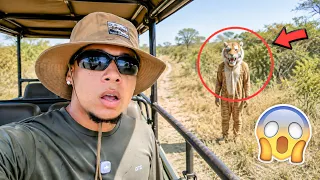 PAGAMOS POR EL PEOR SAFARI DE TODA LA INDIA