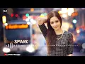 Download Lagu Soniye Dil Nehi Lagda (Love Electro Remix) SPARK