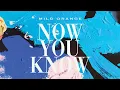 Download Lagu Mild Orange - Now You Know (Official Audio)