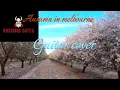 Download Lagu Autumn in Melbourne guitar cover