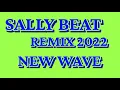 Download Lagu SALLY BEAT REMIX 2022 NEW WAVE 80'S 90'S REMIX DISCO