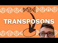 TRANSPOSONS EXPLAINED 1 Minute Explanation