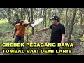 Download Lagu GREBEK PEDAGANG BAWA TUMBAL BAYI KE DUKUN DEMI LARIS | Gus syafaat terbaru