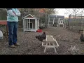 Introducing the Chick-Nic Table to the Ladies and Gent
