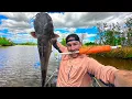 Catching MASSIVE Catfish on Jug Lines Catch and Cook
