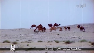 مهلي الحشاش   صاحبي راح مع شاربين الكار دندنها