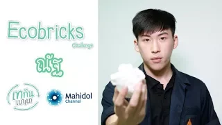 ขยะพลาสติกที่เราใช้ในแต่ละวันมีผลต่อสิ่งแวดล้อมอย่างไร