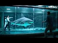 Download Lagu The shark broke through the glass and flooded the laboratory! | Land Shark | YOUKU MONSTER MOVIE