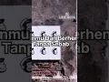 Download Lagu Resah Jadi Luka - Daun Jatuh