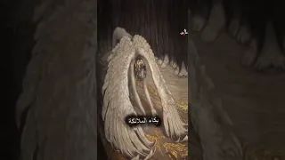 هل تعلمون ماذا حدث عندما قتلو الحسين وقطعو رأسه 