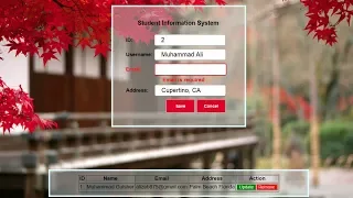 Javascript Form Validation using Javascript Objects Objects in Javascript