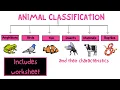 Animal classification Science for kids - My pals are here