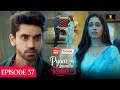 Pyaar Sey Bandhe Rishte - Episode 37 | Avinash Mishra | Dipali Sharma | Shhraddha New Hindi Serial