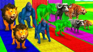 Download Choose Right Wall With Gorilla Zombie T-Rex Tiger Buffalo Elephant Lion | Wild animals Matching Game MP3