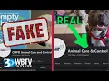 Don t Be Fooled By This Fake Charlotte Pet Adoption Facebook Page