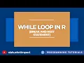 While Loop Break and Next Statement in R