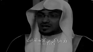 قل للشامتين بنا افيقوا دندنها